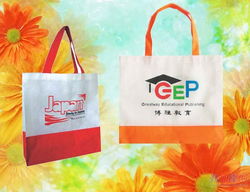 吉林省大安市 優(yōu)質(zhì)無(wú)紡布袋生產(chǎn)廠家的選擇